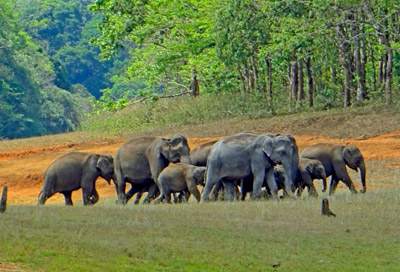 Kumarakom India Tours