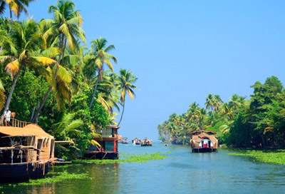 Cochin India Tours