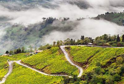 Darjeeling India Tours