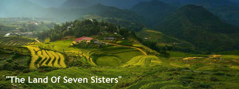 North East India Tour of Darjeeling Tea Garden