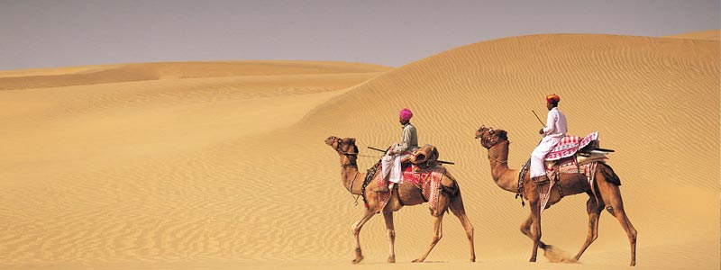 Rajasthan India Trips