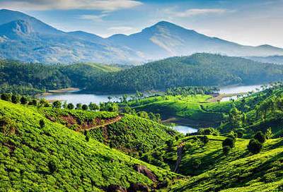 Munnar Tea Garden, India Trip