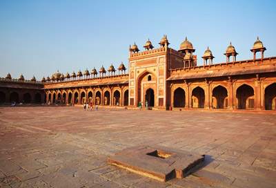 Bharatpur Wildlife India Tours